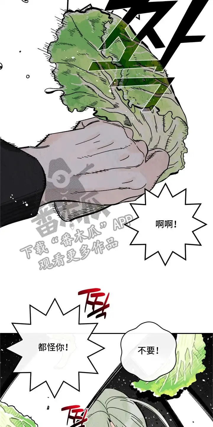 菜园情事 第7章：农药 第18页