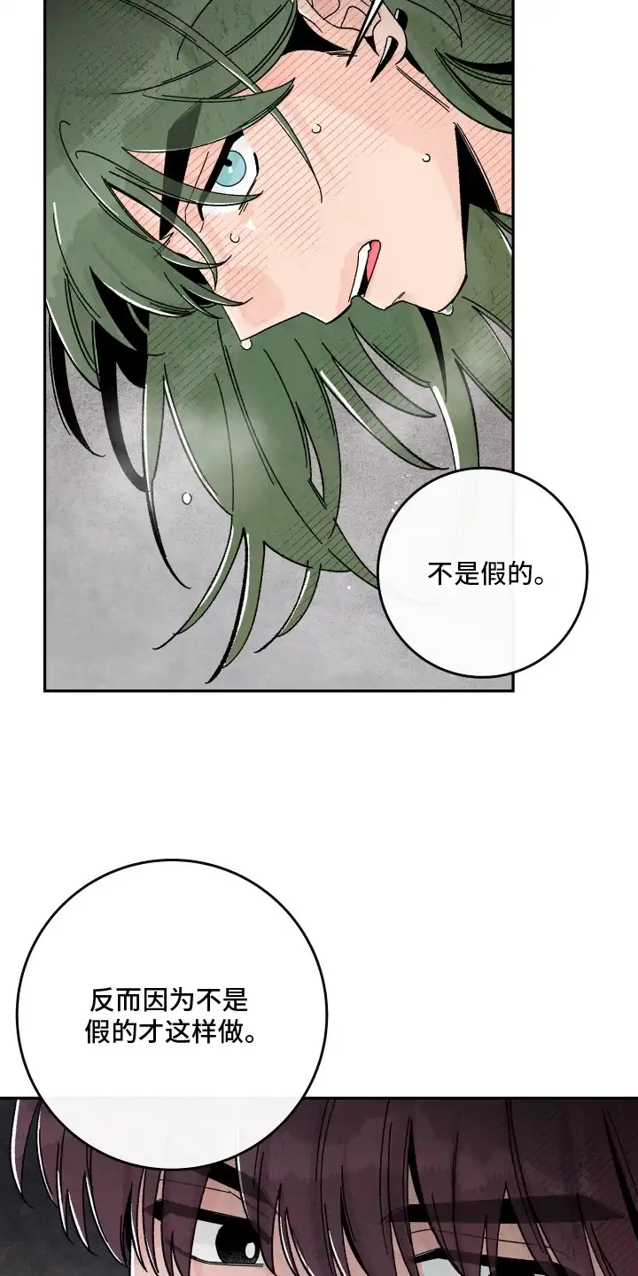 菜园情事 第9章：计划 第12页
