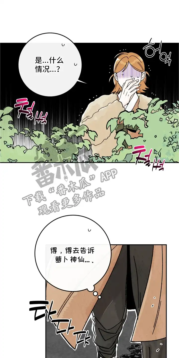 菜园情事 第9章：计划 第2页