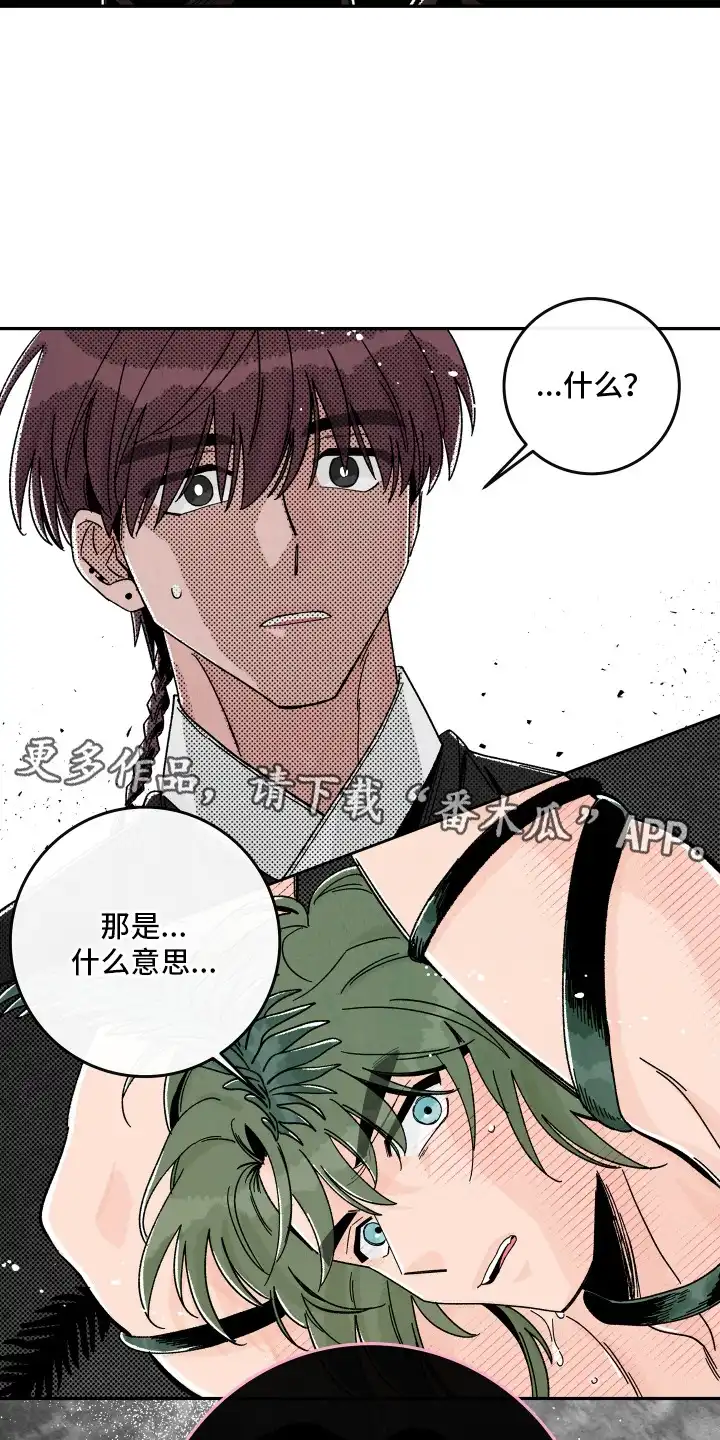 菜园情事 第9章：计划 第6页