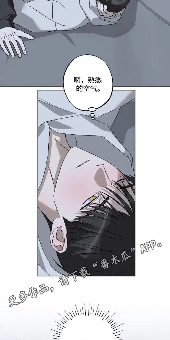 撒娇也没用 第10章：瞬间清醒 第6页