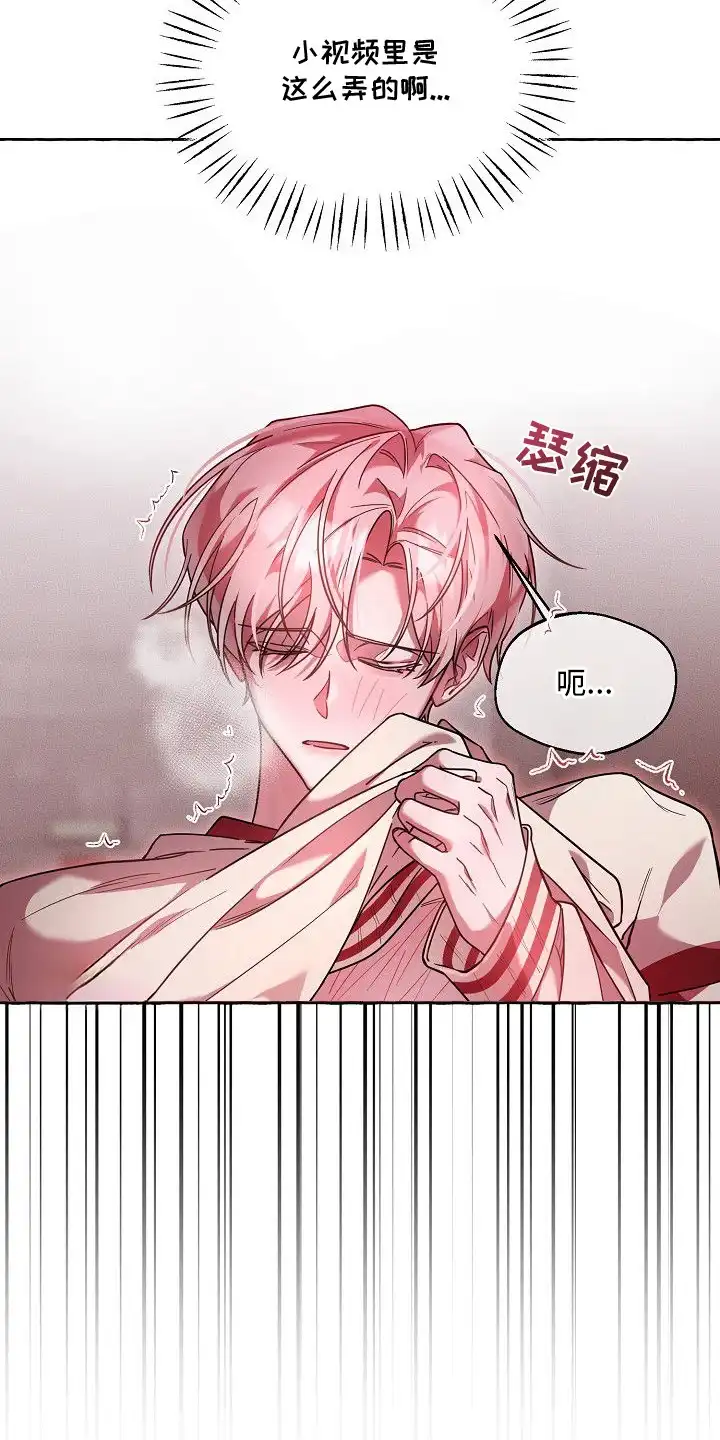 雏儿陷阱 第1章：特殊爱好 第5页