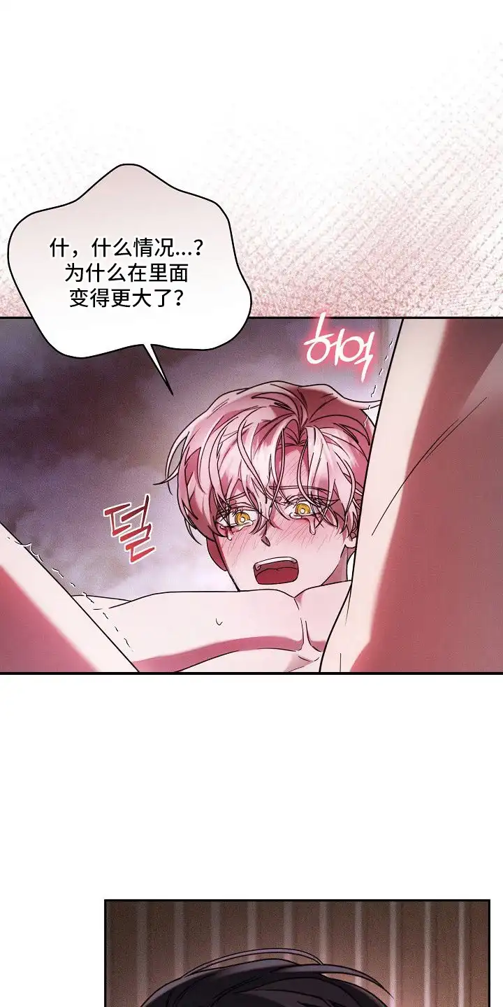 雏儿陷阱 第22章：被迷住 第1页