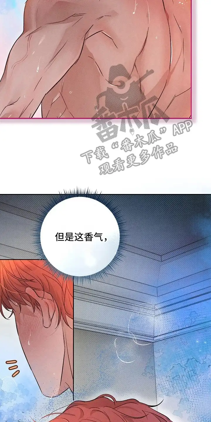 炽热的命定 第13章：熟悉的香气 第22页