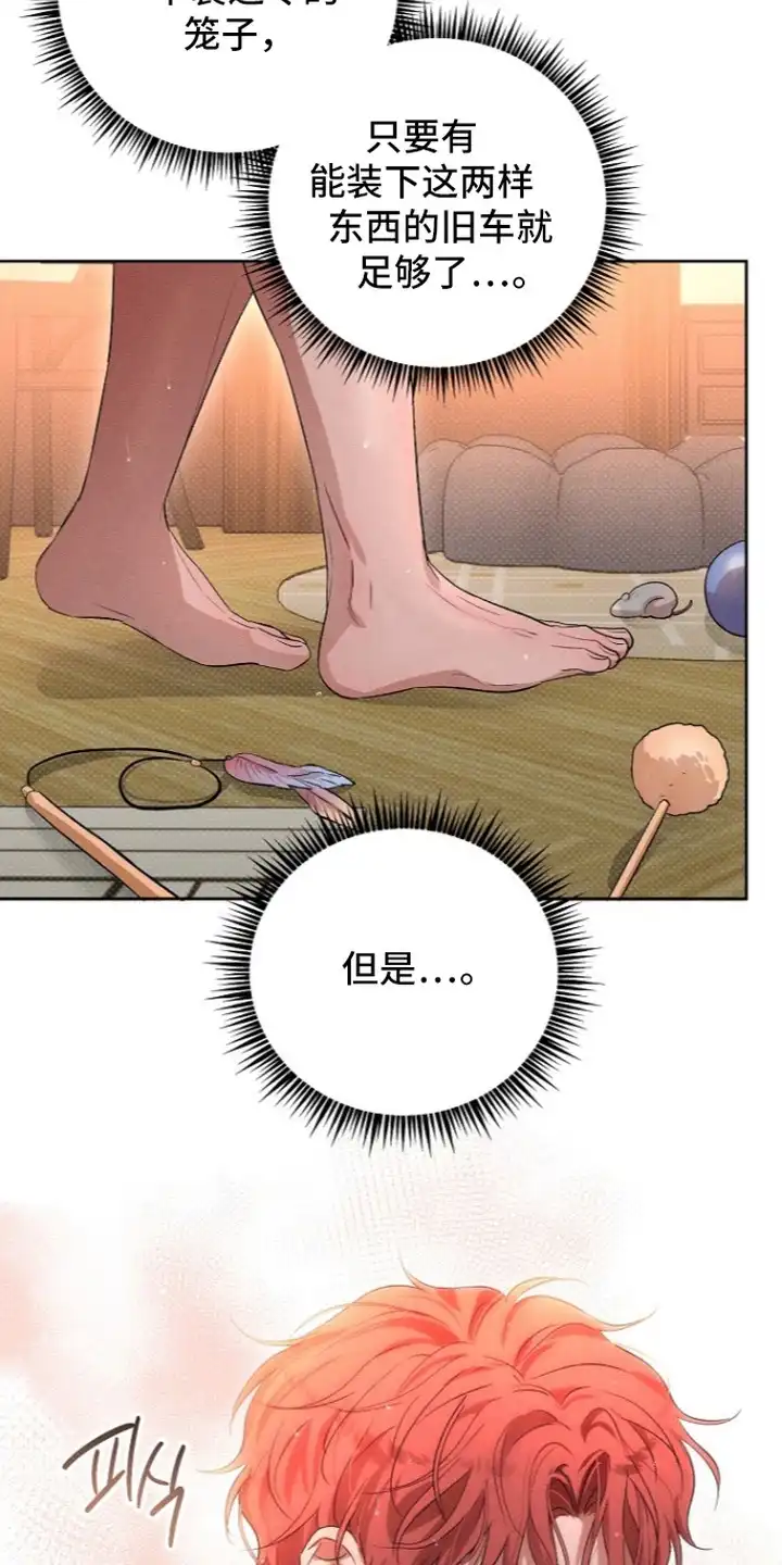 炽热的命定 第16章：有点不舍 第12页