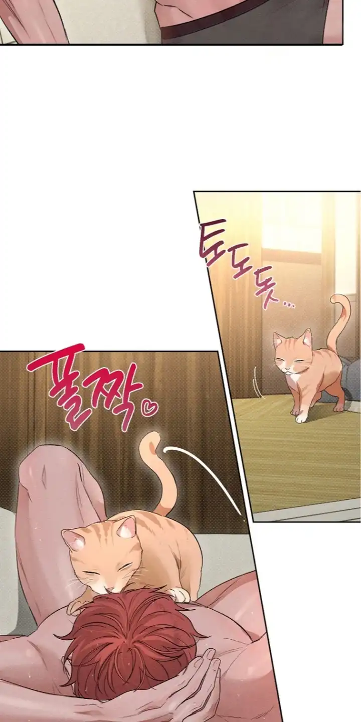 炽热的命定 第16章：有点不舍 第3页