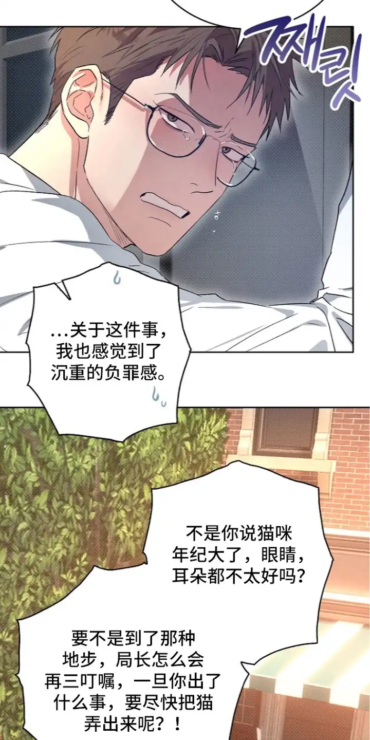 炽热的命定 第7章：告诫 第11页