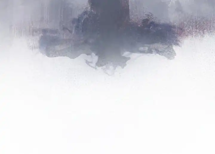 暗香缠身 第2章：合约 第22页