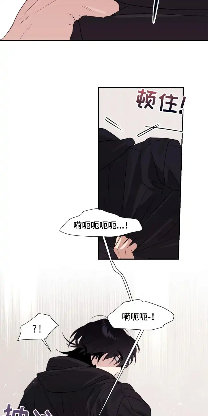 室友请指教 第12章：熟悉的感觉 第5页