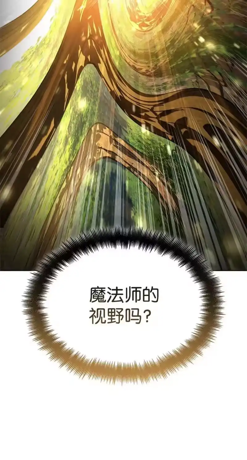 无限魔法师_h 108 天才平民 第36页