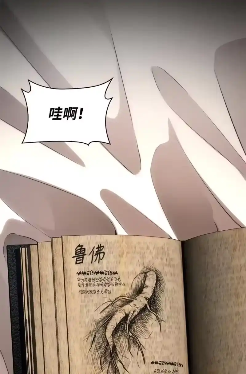 无限魔法师_h 109 意外的矛盾 第13页