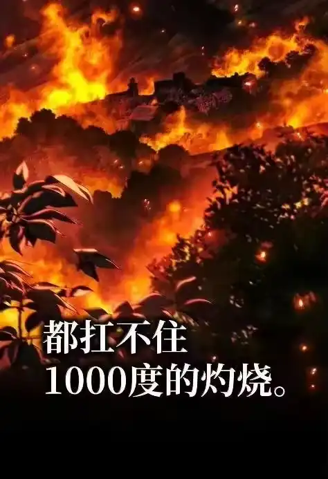 无限魔法师_h 121 火焰对决 第78页