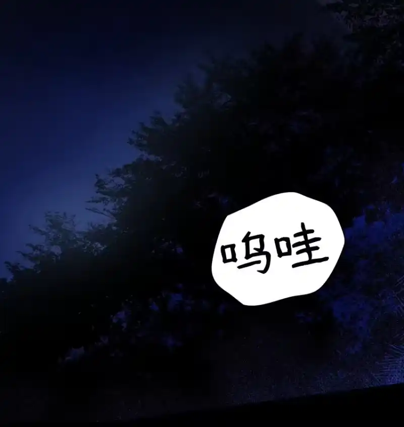 无限魔法师_h 01 初窥魔法 第3页