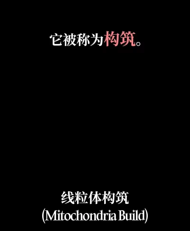 无限魔法师_h 76 线粒体构筑 第30页