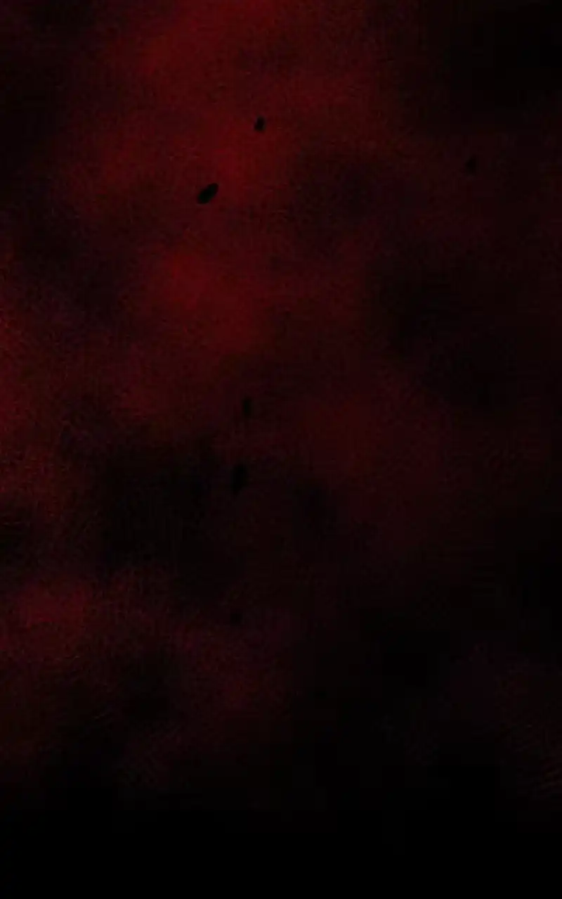 无限魔法师_h 82 羞辱 第75页