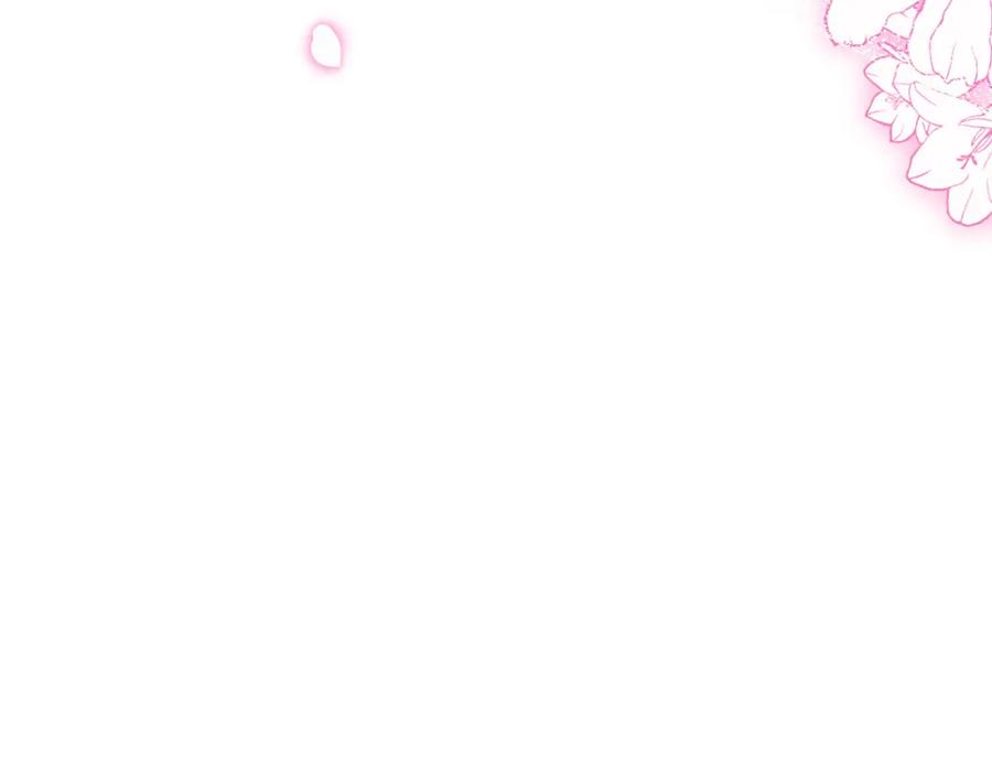 第242页