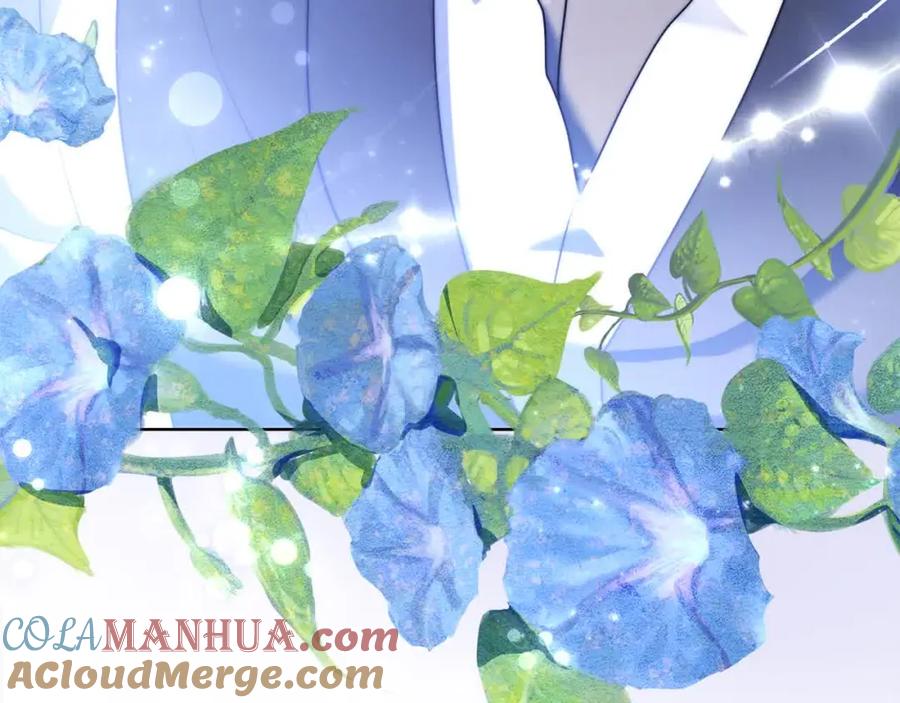 第221页