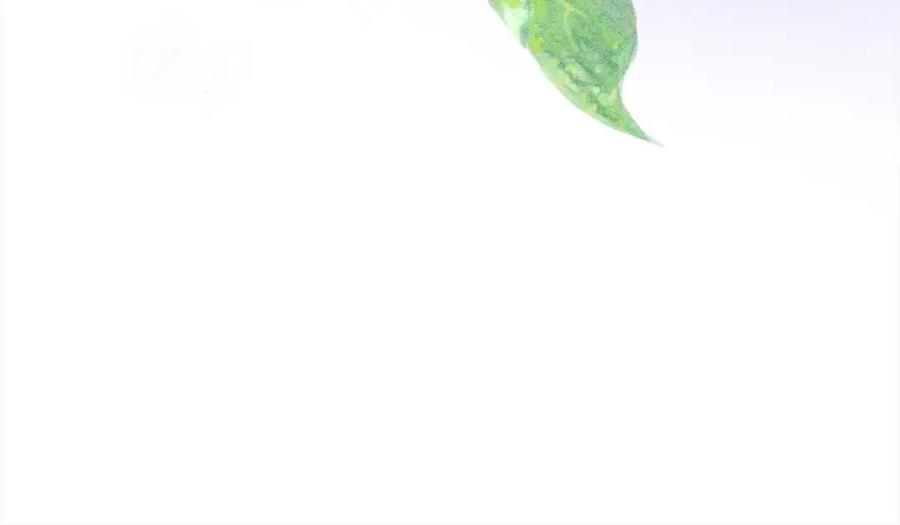 第222页