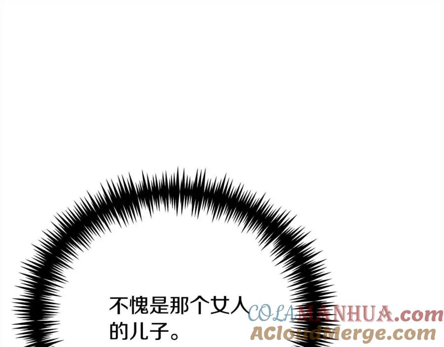 第205页