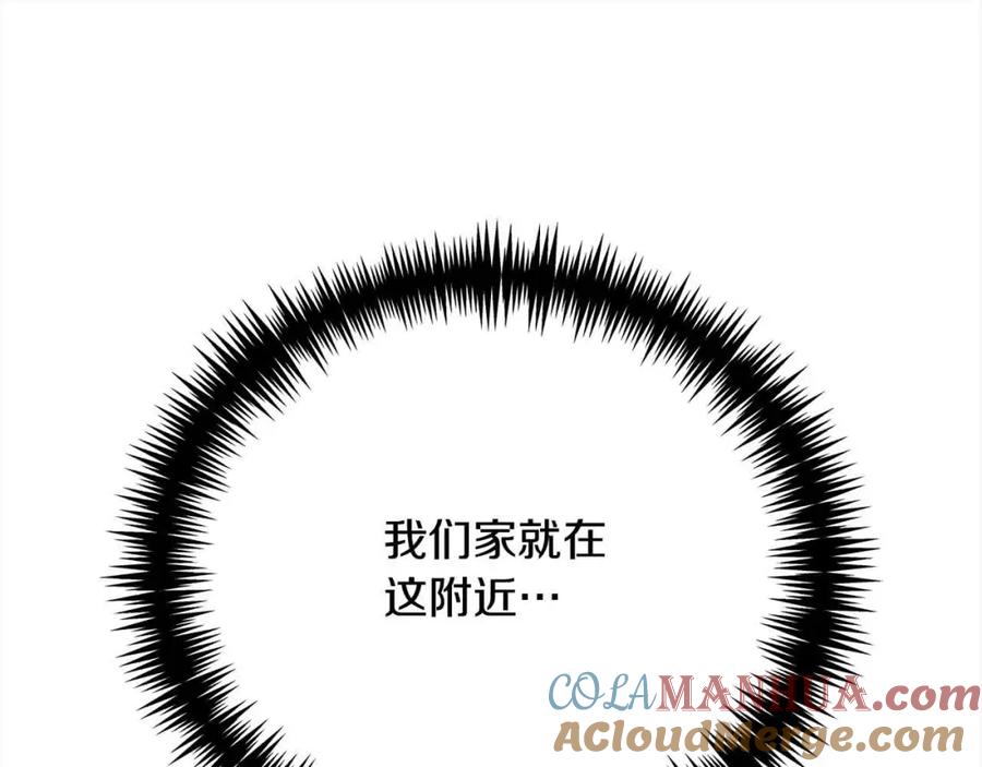 第233页