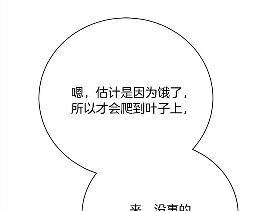 第202页