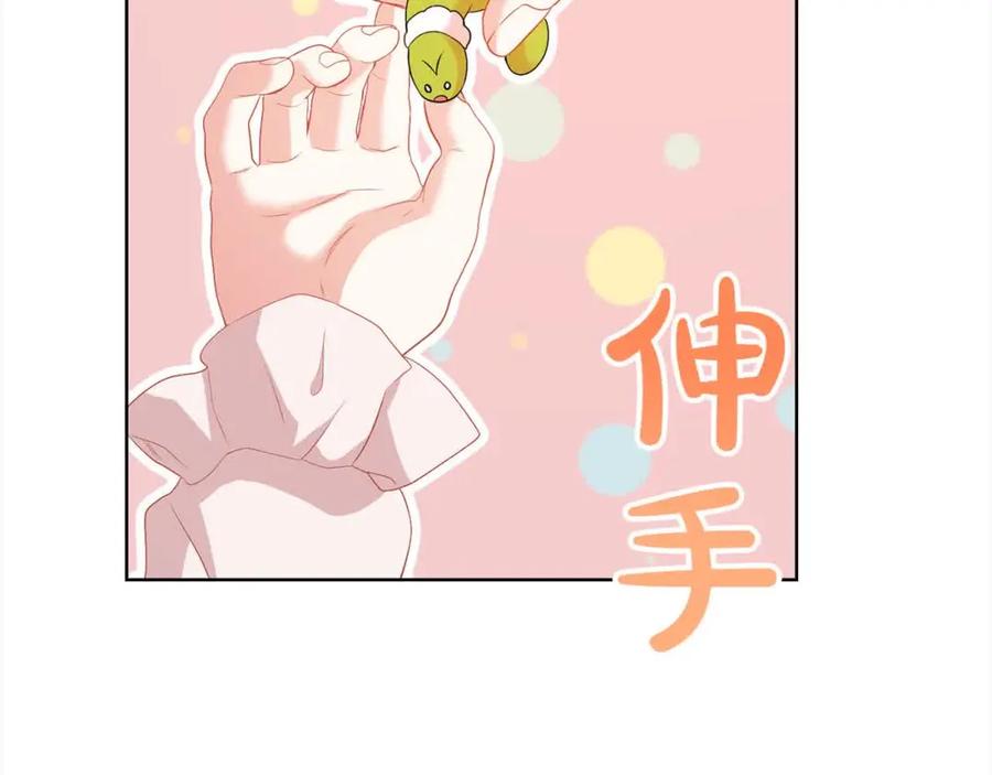 第204页