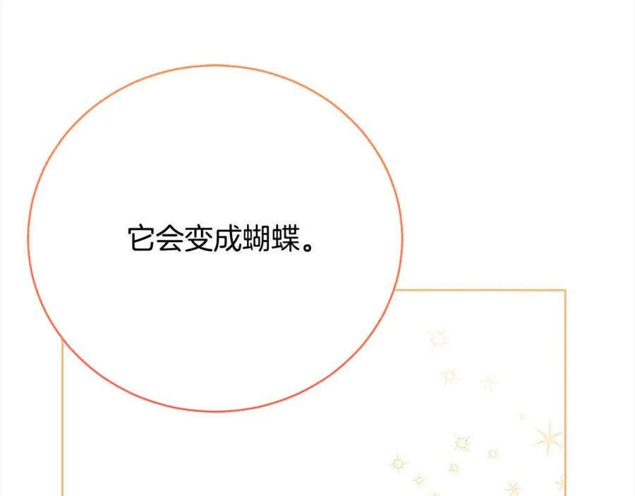 第223页