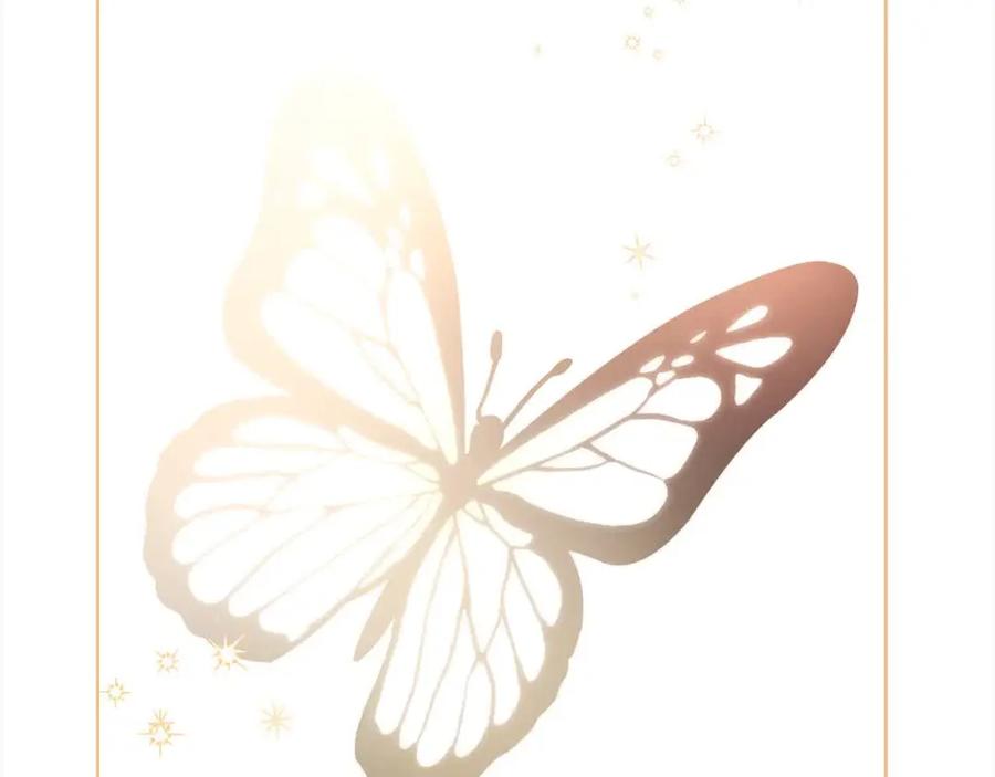 第224页