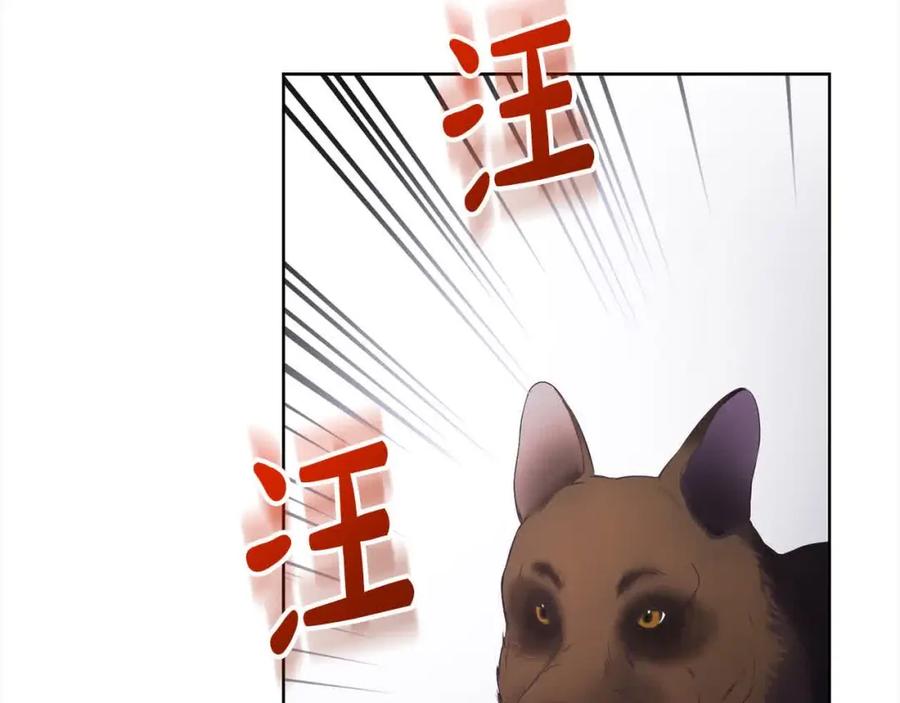 第234页