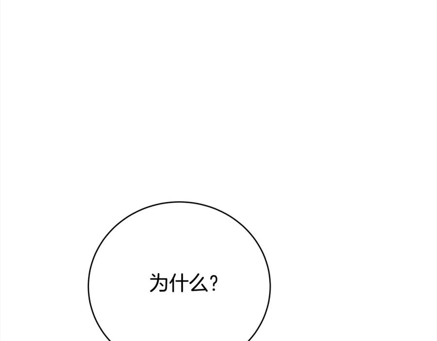 第242页