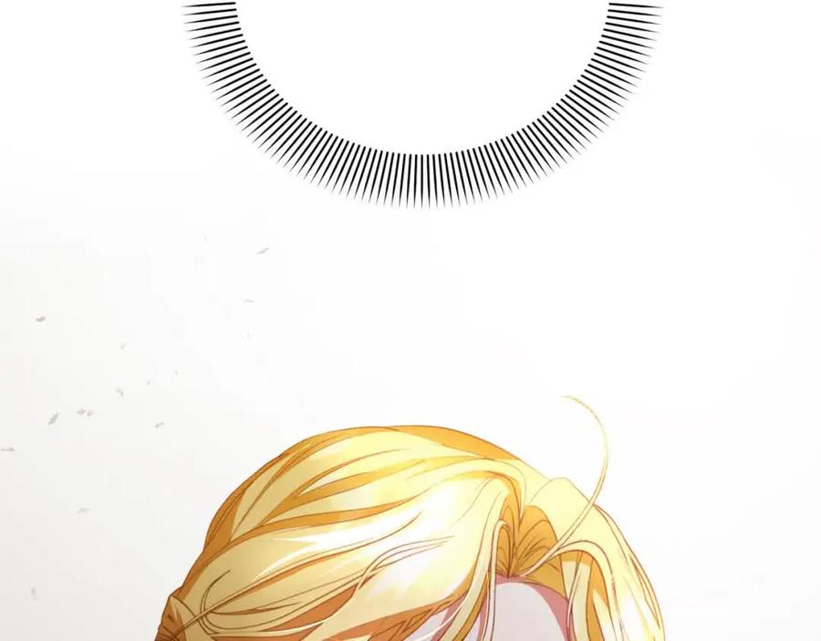 第276页