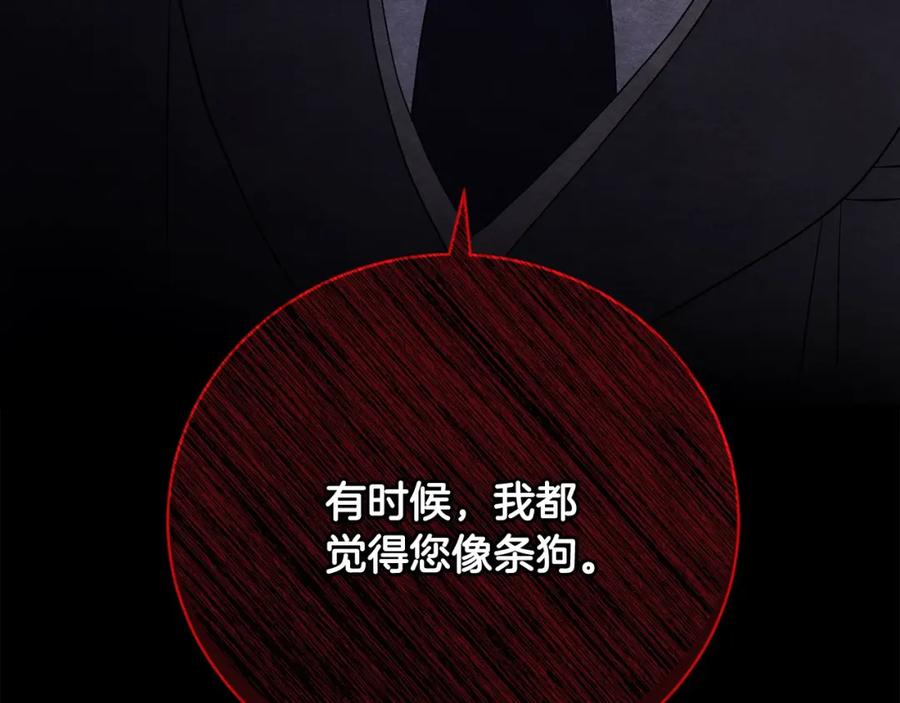 第259页