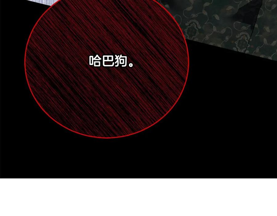 第264页