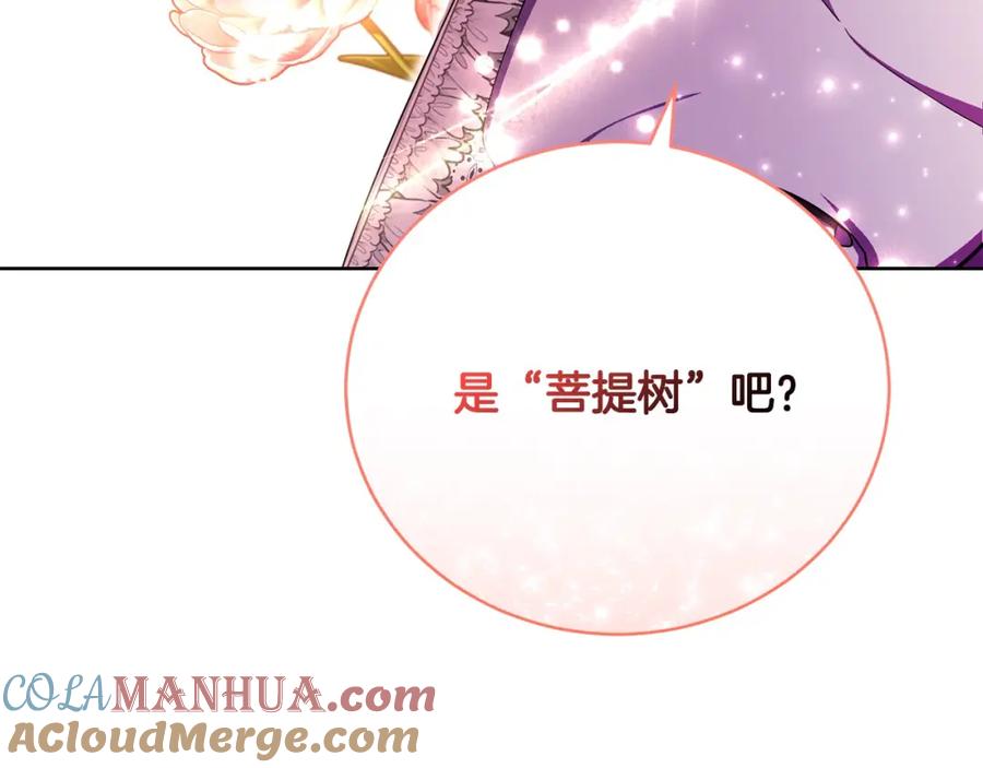 第257页