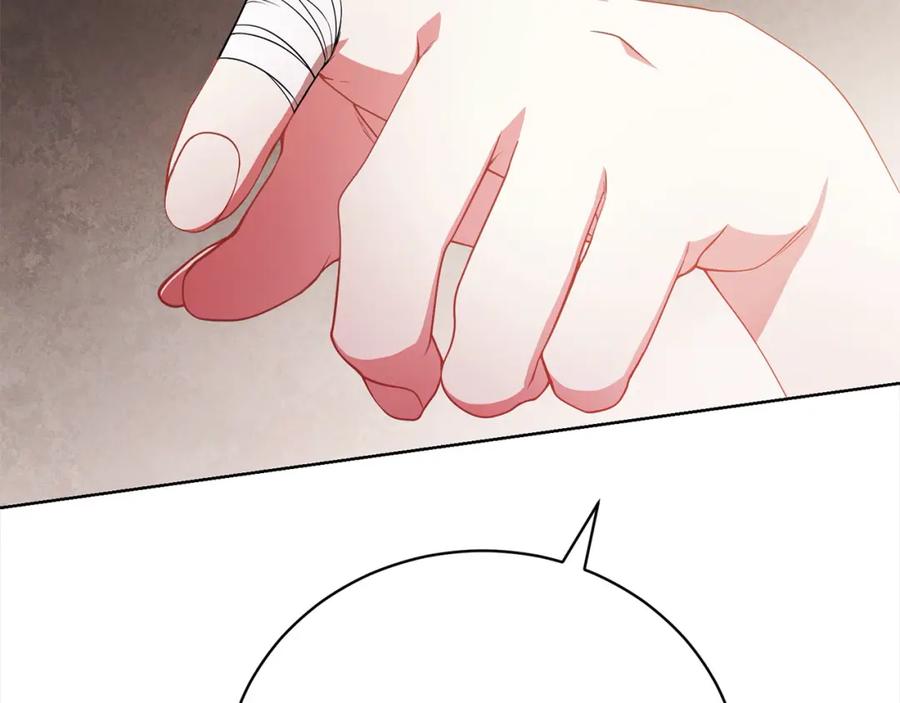 第223页