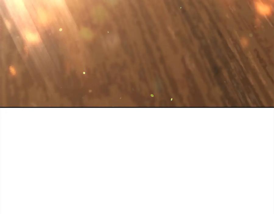 第255页