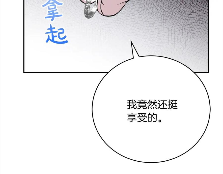 第223页