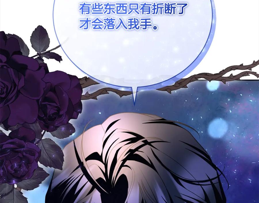 第223页