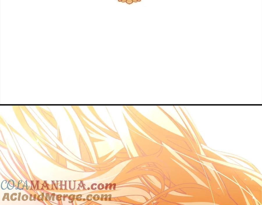 第215页