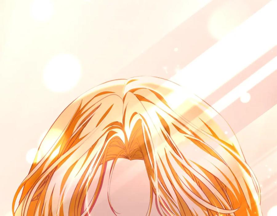 第224页