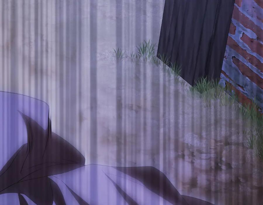 第204页