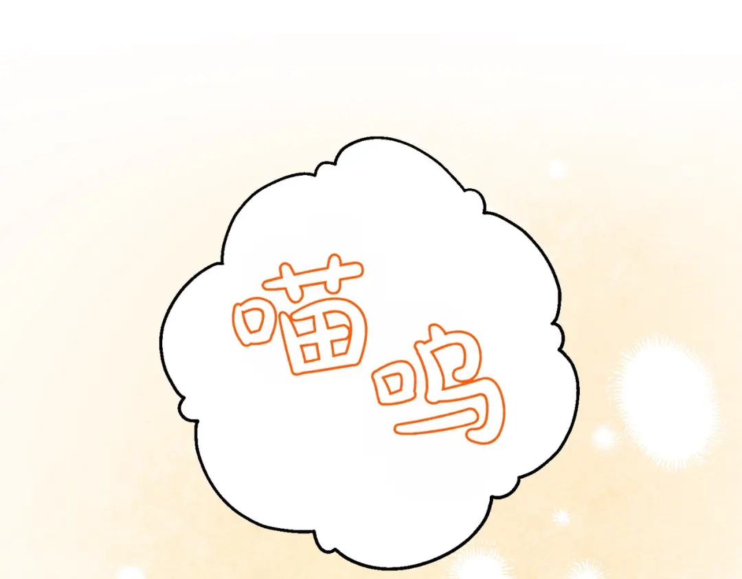 第243页