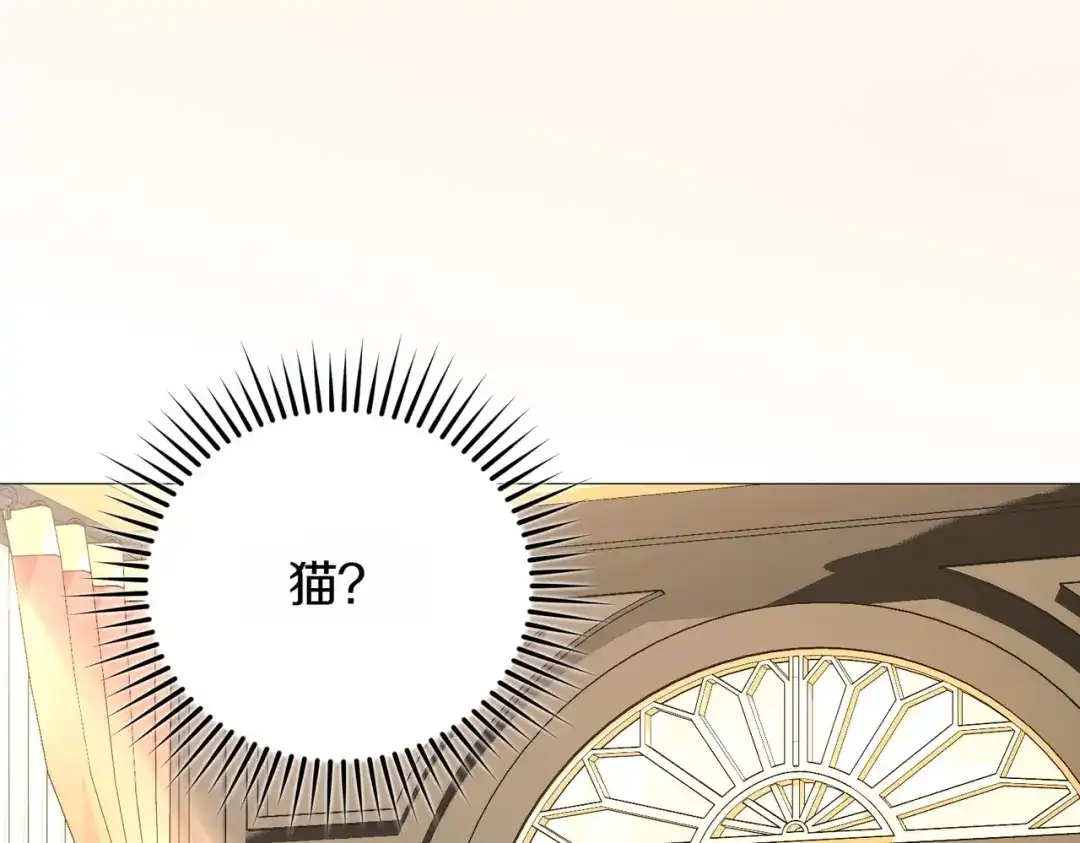 第253页