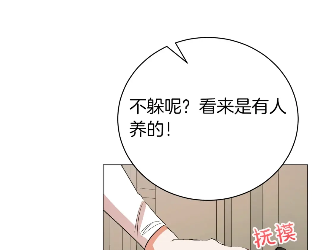 第259页