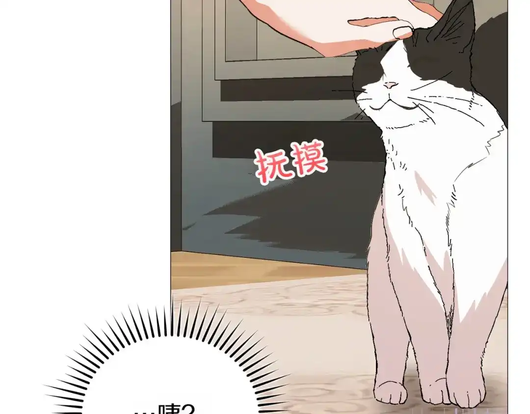 第261页