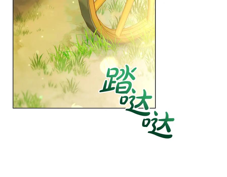 第215页