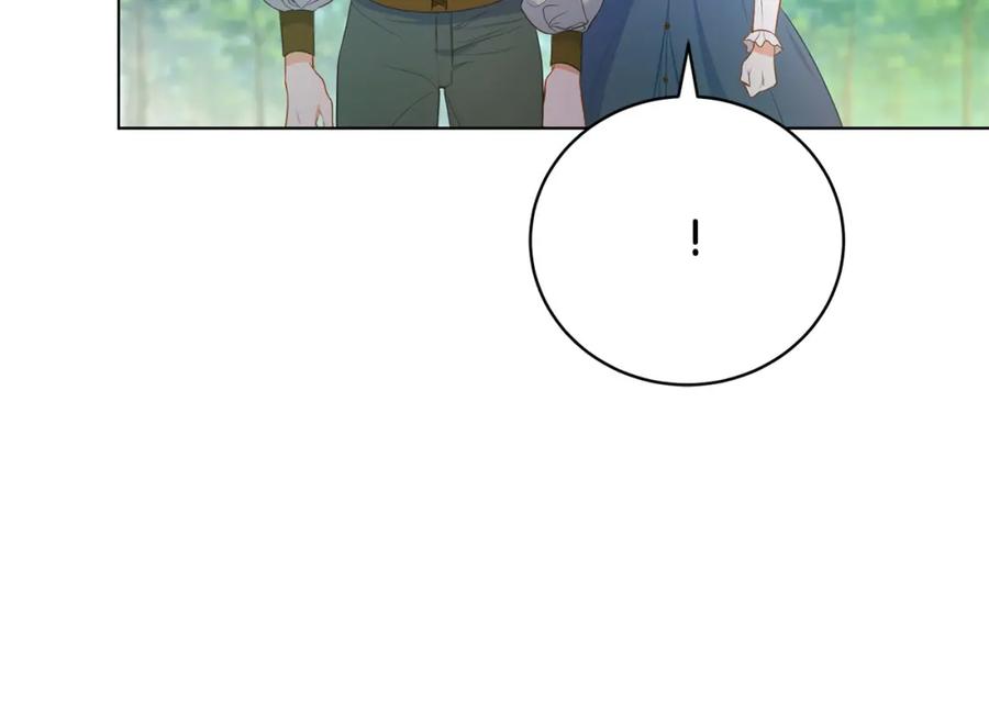 第223页