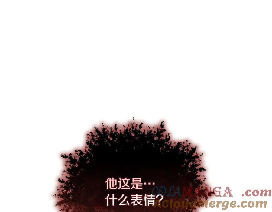 第250页