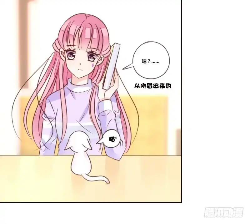 公主的女王命 意外之吻！~ 第20页