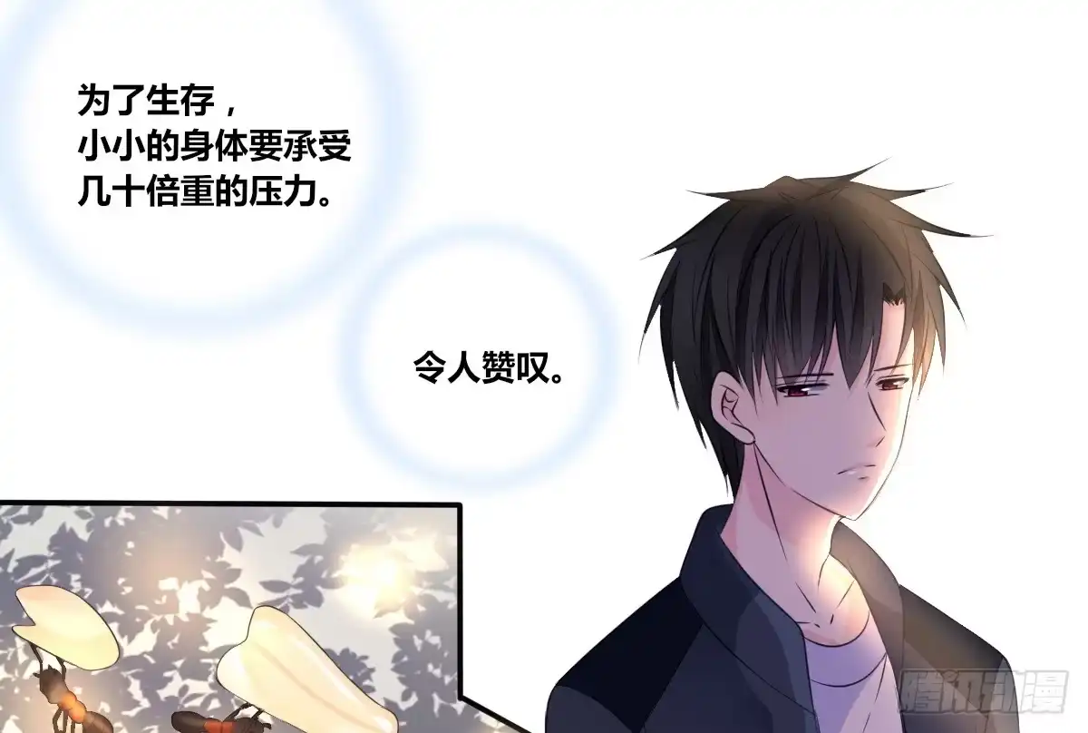 公主的女王命 零灵是谁？ 第11页